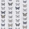 Organic Textures Jewel Butterflies Grey Wallpaper 2 Organic Textures Jewel Butterflies Grey Wallpaper -Famous Wallpaper Store 13120812 1224866369470895