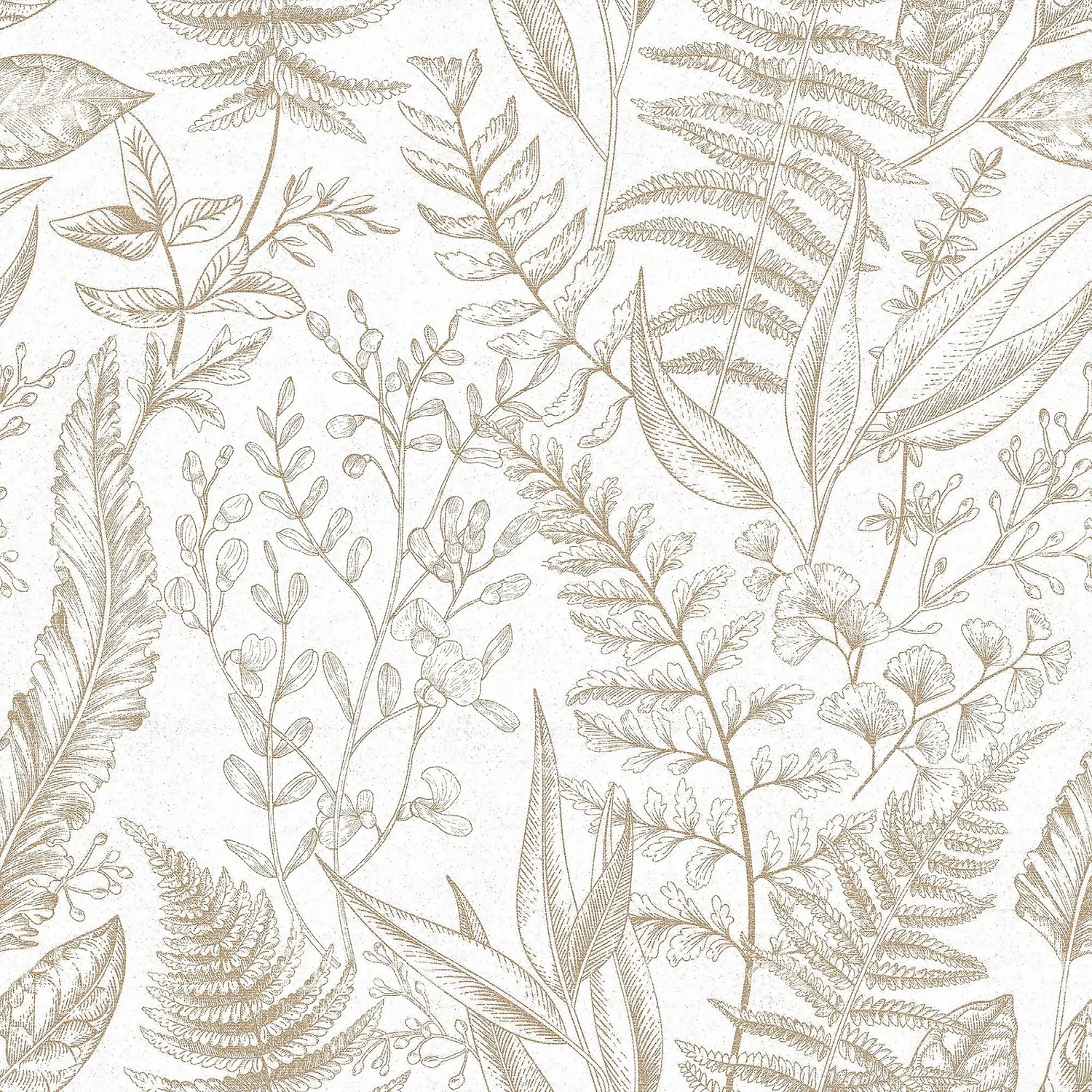 Galerie Botanical Sketch Beige Wallpaper Galerie Botanical Sketch Beige Wallpaper -Famous Wallpaper Store 13910505 5714994886277569