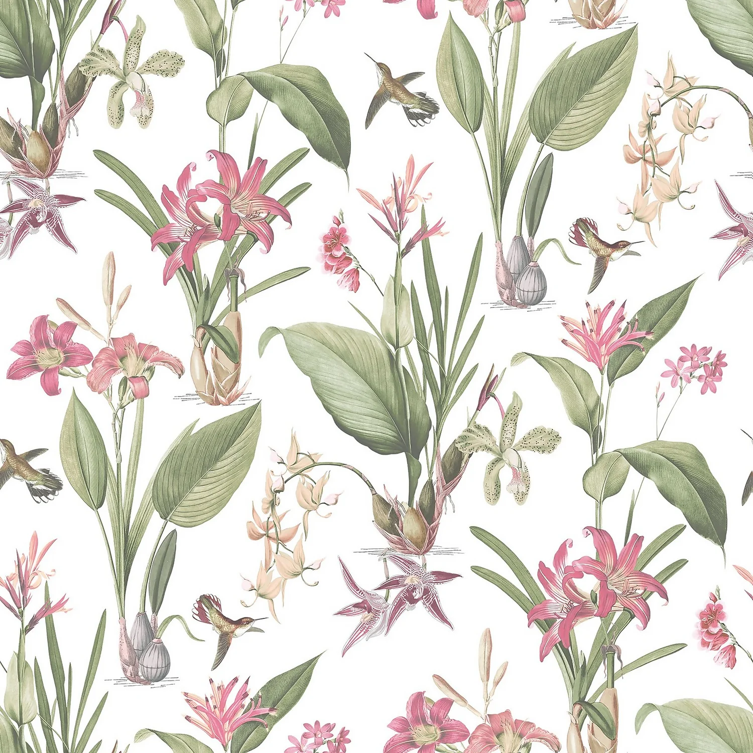 Galerie Botanical Illustration Pink A4 Wallpaper Sample Galerie Botanical Illustration Pink A4 Wallpaper Sample -Famous Wallpaper Store 13910591 1994994886496155