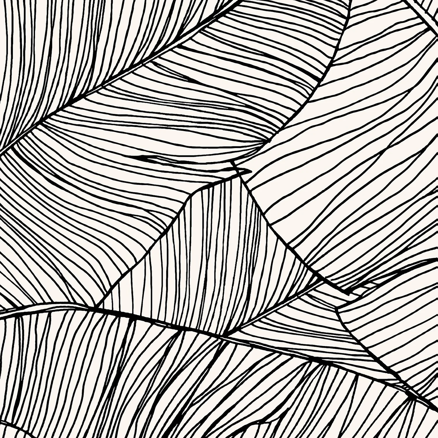 Superfresco Easy Kaya Mono Wallpaper Superfresco Easy Kaya Mono Wallpaper -Famous Wallpaper Store 13991894 2075003726581125