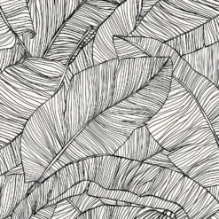 Superfresco Easy Kaya Mono Wallpaper