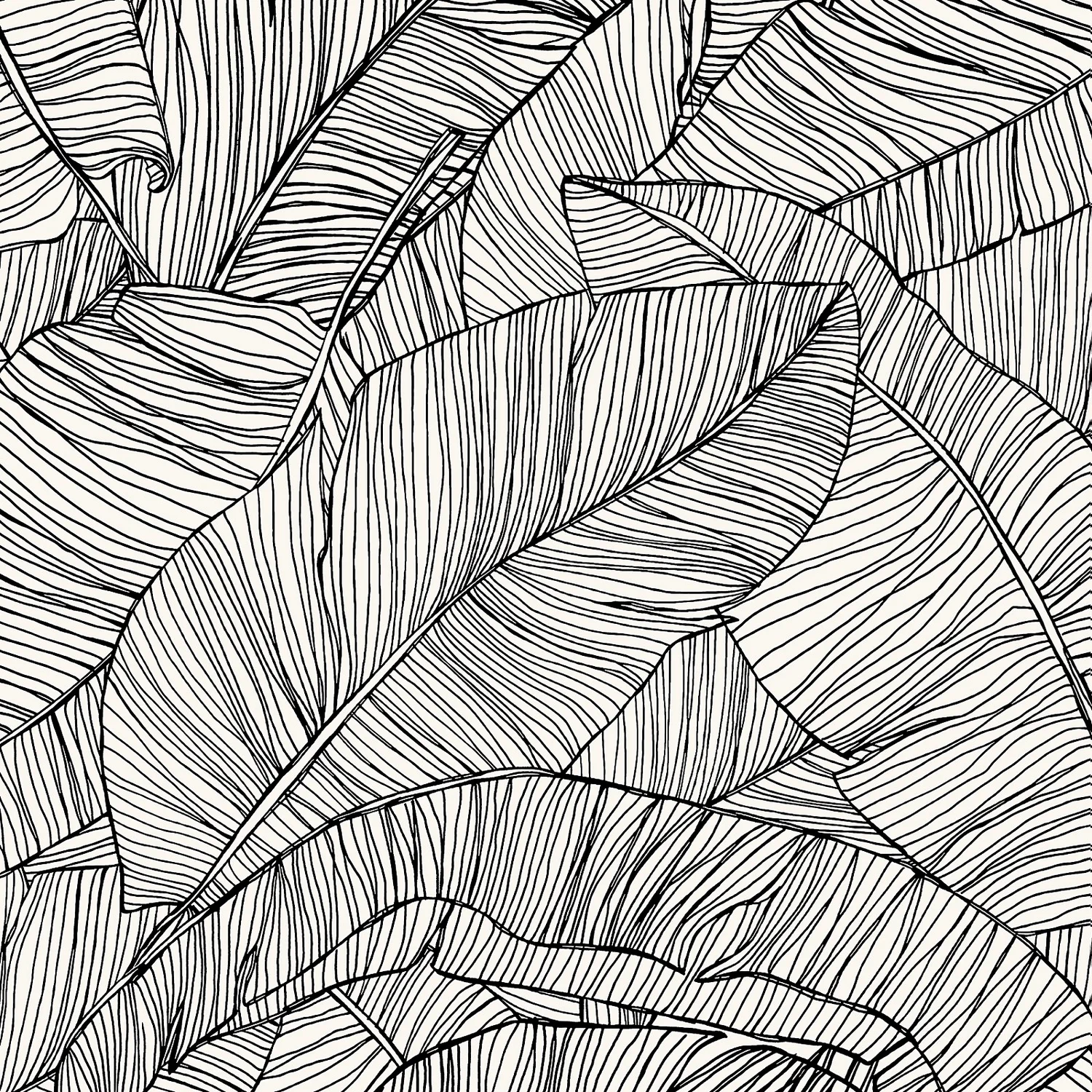 Superfresco Easy Kaya Mono Wallpaper Superfresco Easy Kaya Mono Wallpaper -Famous Wallpaper Store 13991894 7045003726517519